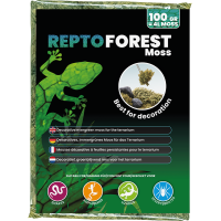 Repto Forest Moss 100G