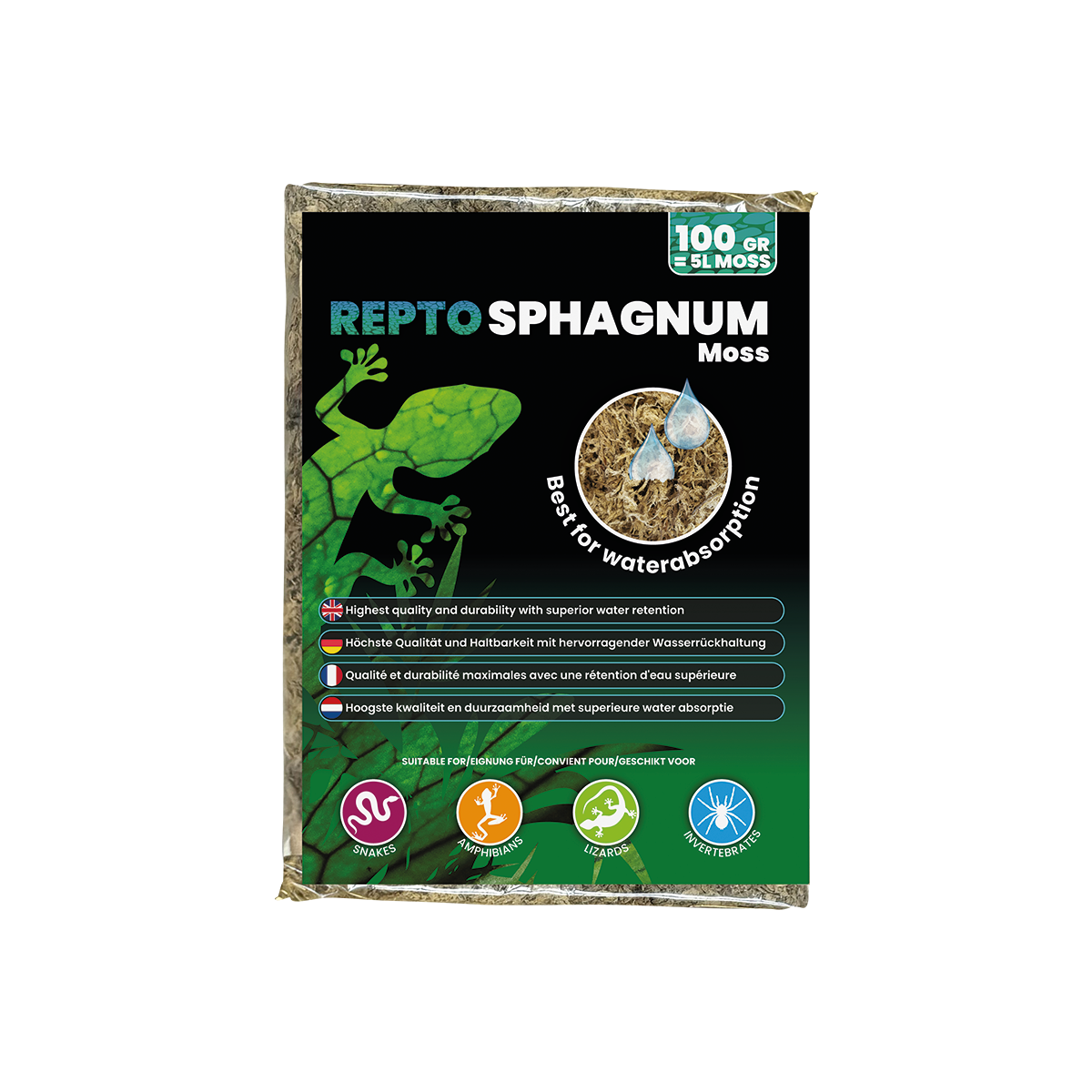 Bonsai Moos Samen - Bryophyta Moss - Sphagnum Moos, Produktbild-Vorschau 7