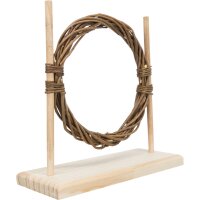 Agility-Set mit H&uuml;rde und Ring 28 &times; 26 &times; 11 cm