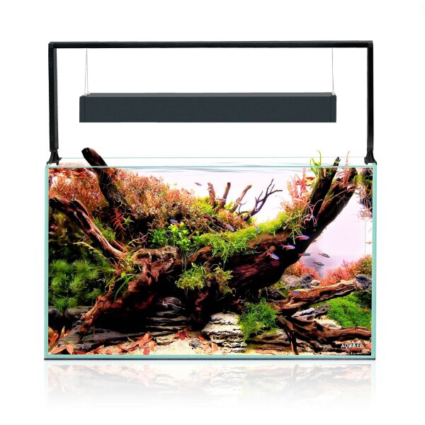 UltraScape 60 Aquarium Forest/Snow
