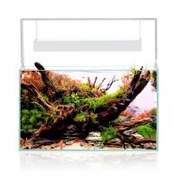 UltraScape 60 Aquarium Forest/Snow