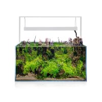 UltraScape 90 Aquarium Forest/Snow
