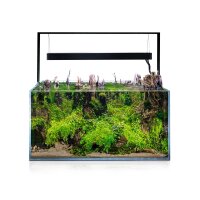 Aquael UltraScape 90 Aquarium Forest