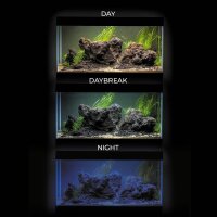 Aquael UltraScape 90 Aquarium Forest