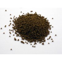 Dr.Bassleer BioFish CHLORELLA L 150g
