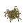 Dr.Bassleer Shrimp Sticks Regular 60g