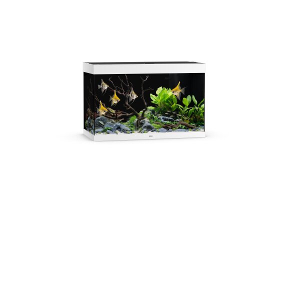 Rio 290 LED Aquarium weiß