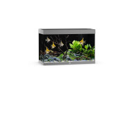 Juwel Rio 290 LED Aquarium grau