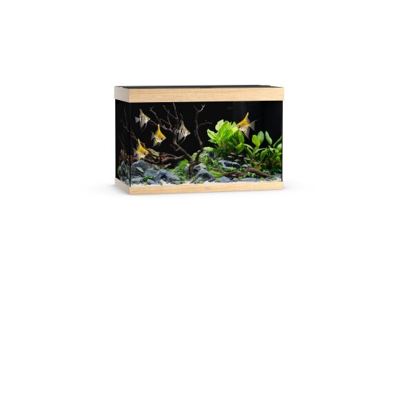 Juwel Rio 290 LED Aquarium helles Holz
