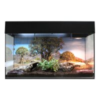 Starter Kit 80 cm "Landschildkr&ouml;te" schwarz