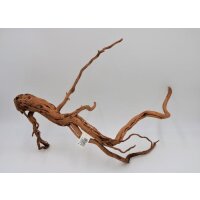 Aquadeco Curl Wood M 60-80cm