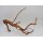 Curl Wood M 60-80cm