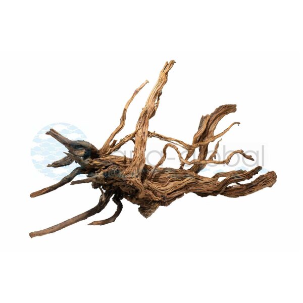 Aqua Global Curl Wood Groß ca. 50-60 cm