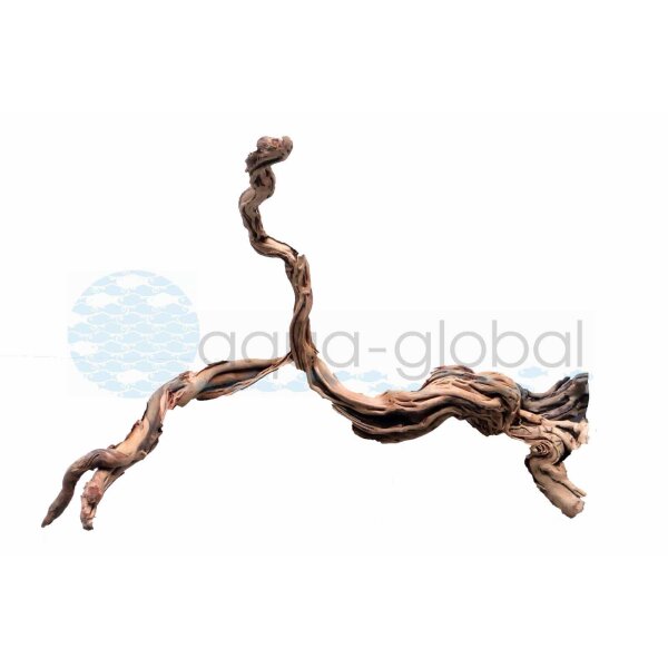 Aqua Global Curl Wood M