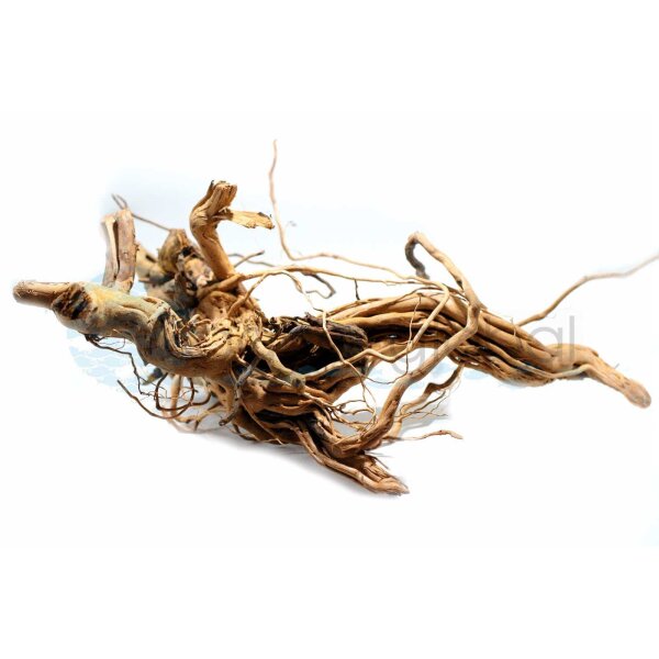 Curl Wood XL ca. 60-80 cm