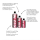 RED M 250ml