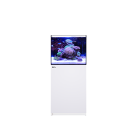 REEFER™ 170 System G3 - Weiß