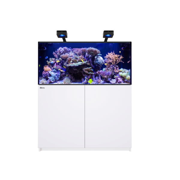 REEFER™ 425 G3 Deluxe - Weiss (inklusive 2 X RL170 & Befestigungsarme)