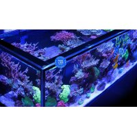 REEFER&trade; 425 System G3 - Schwarz