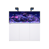 REEFER™ 625 G3 Deluxe - Weiss (inklusive 2 X RL170...