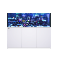 REEFER™ 750 G3 Deluxe - Weiss (inklusive 3 X RL170...