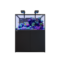 REEFER™ G3 S 550 Complete System - Schwarz