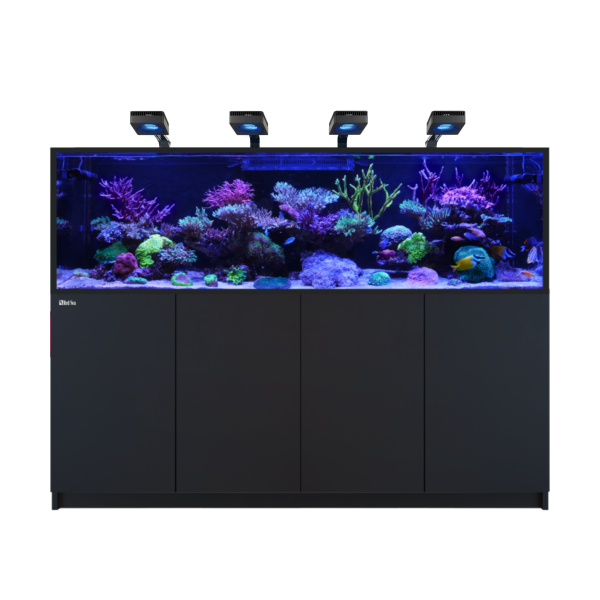 REEFER™ S-1000 G3 Deluxe - Schwarz (inklusive 4 X RL170S & Befestigungsarme)