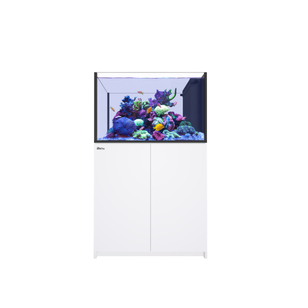 REEFER™ Peninsula G3 350 System - Weiß