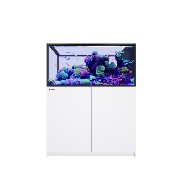 REEFER™ Peninsula G3 500 System - Weiß
