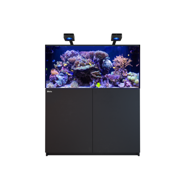 REEFER™ MAX 425 G3 System - Schwarz