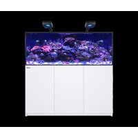 REEFER™ MAX 625 G3 System - Weiss