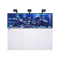 REEFER™ MAX 750 G3 System - Weiss