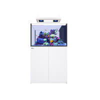 REEFER™ MAX Peninsula S-350 G3 System - Weiss