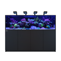REEFER™-G3 S 1000 Complete System - Schwarz
