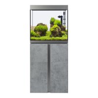 Siena 166 Aquarium Komplettset , 5 verschiedene Farben