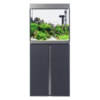 Siena 166 Aquarium Komplettset , 5 verschiedene Farben