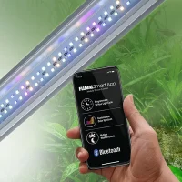 Siena 166 Aquarium Komplettset , 5 verschiedene Farben
