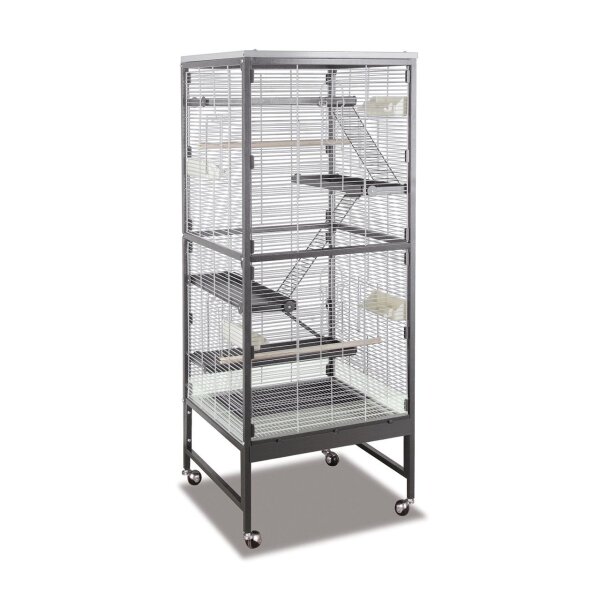 Sevilla 60 - Antik/Platinum