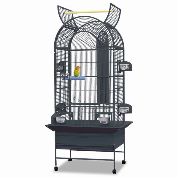 Boston - Antik von Montana Cages