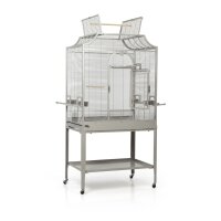 Madeira II - Platinum