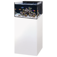 Yasha 100 Lagoon