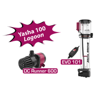 Yasha 100 Lagoon