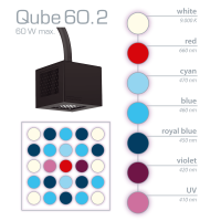Qube 60.2