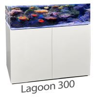 Armatus Lagoon
