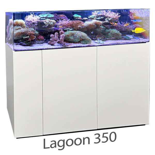 Armatus Lagoon 350