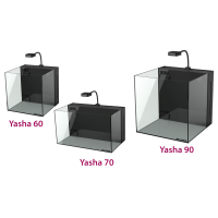 Yasha