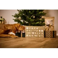 Premium Snack-Kalender f&uuml;r Hunde
