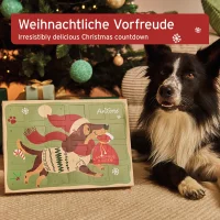 Snack-Adventskalender f&uuml;r Hunde