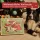 Snack-Adventskalender für Hunde