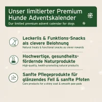 Premium Adventskalender f&uuml;r Hunde